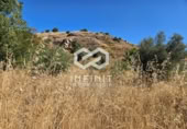 Casa amb terreny en venda a la España, Humanes, ref.: TR398421 foto