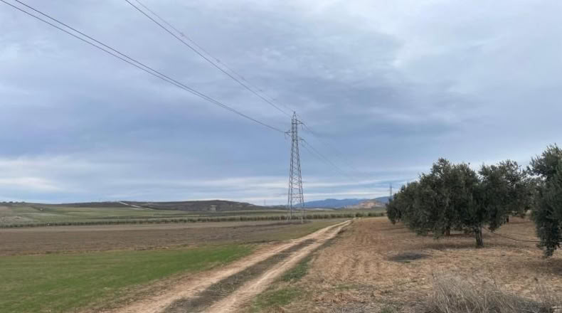 Granada - Escúzar - 18635m2