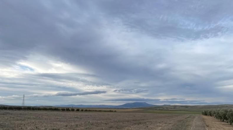 Granada - Escúzar - 18635m2
