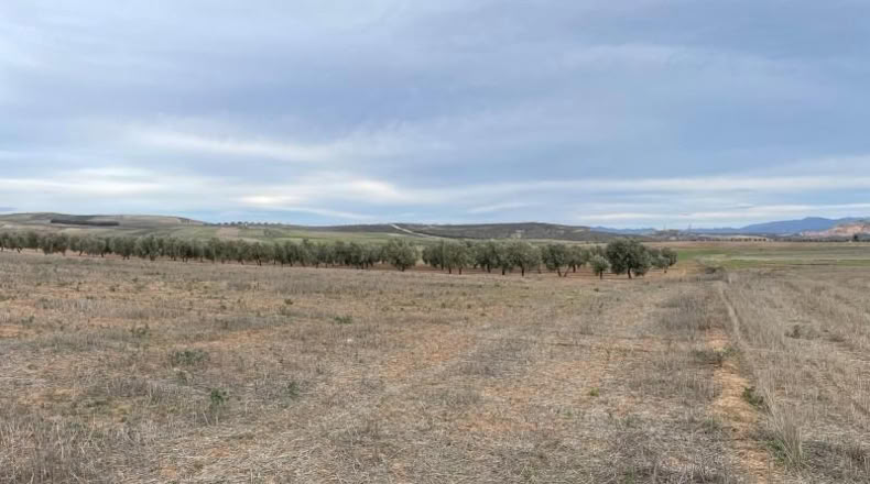 Granada - Escúzar - 18635m2