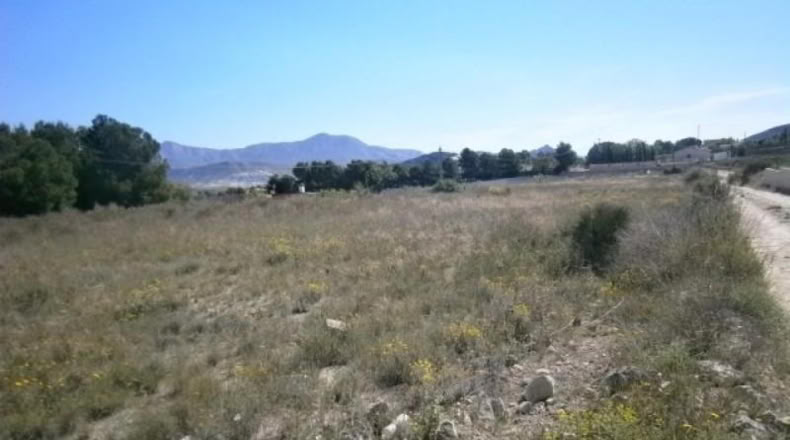 Alicante - Monóvar - 10000m2
