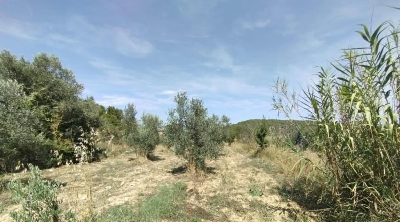 Teruel - Valderrobres - 12m2