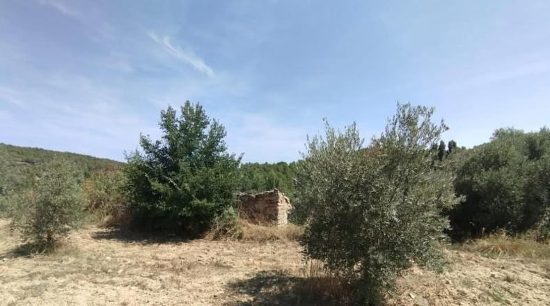 Teruel - Valderrobres - 12m2