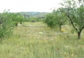 Parcel·la urbanitzable en venda a la España, Monòver, ref.: TR397809 foto