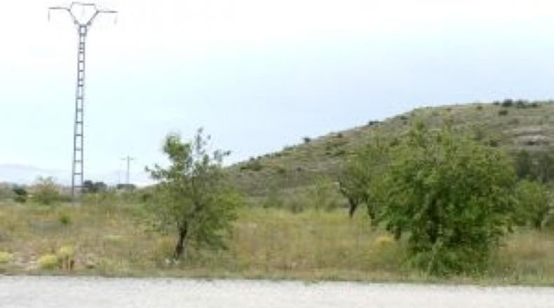Alicante - Monóvar - 15643m2