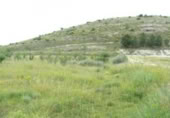 Parcel·la urbanitzable en venda a la España, Monòver, ref.: TR397809 foto