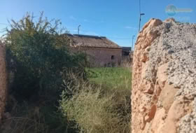 Fuente Álamo 320&nbsp;m²