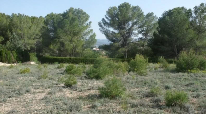 Valencia - Onteniente - 7900m2