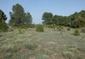 Non-developable land for sale on España, Madrid, ref: TR397846 photo