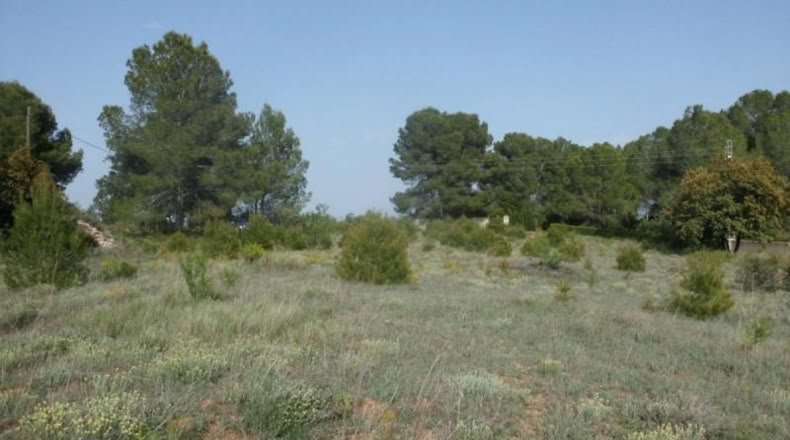 Valencia - Onteniente - 7900m2