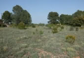 Non-developable land for sale on España, Madrid, ref: TR397846 photo