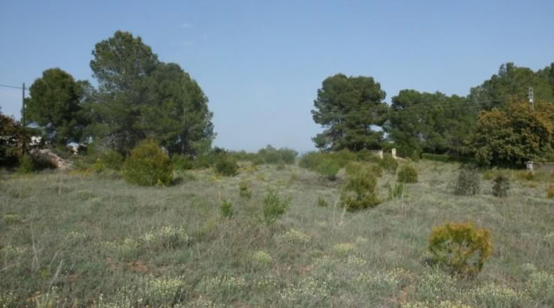 Valencia - Onteniente - 7900m2