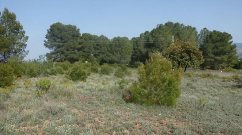 Valencia - Onteniente - 7900m2