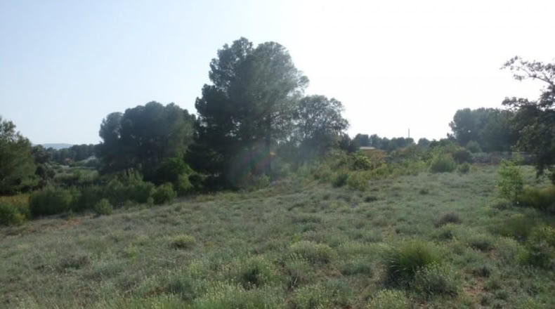 Valencia - Onteniente - 7900m2