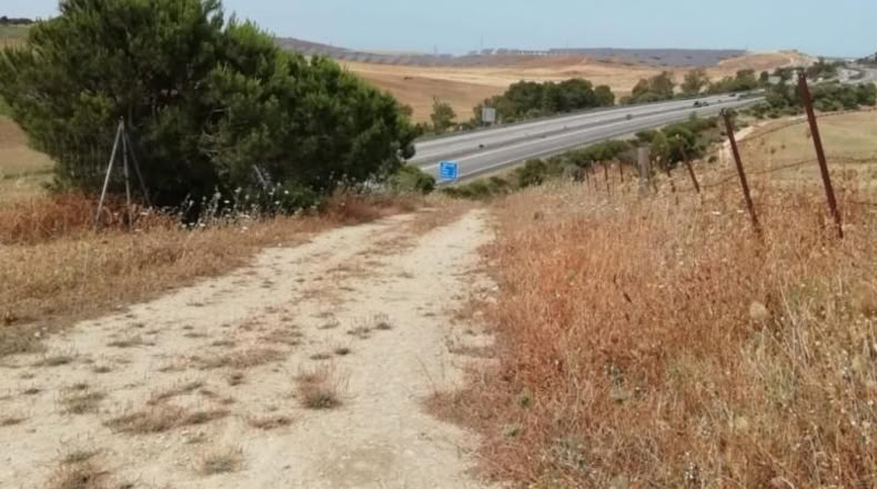Sevilla - Paradas - 2000m2