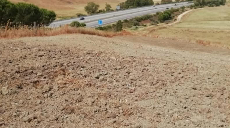 Sevilla - Paradas - 2000m2