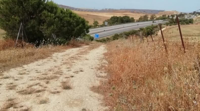 Sevilla - Paradas - 2000m2
