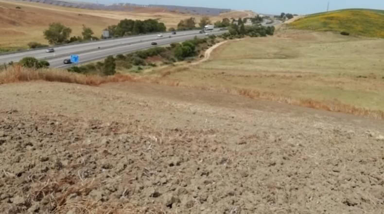 Sevilla - Paradas - 2000m2