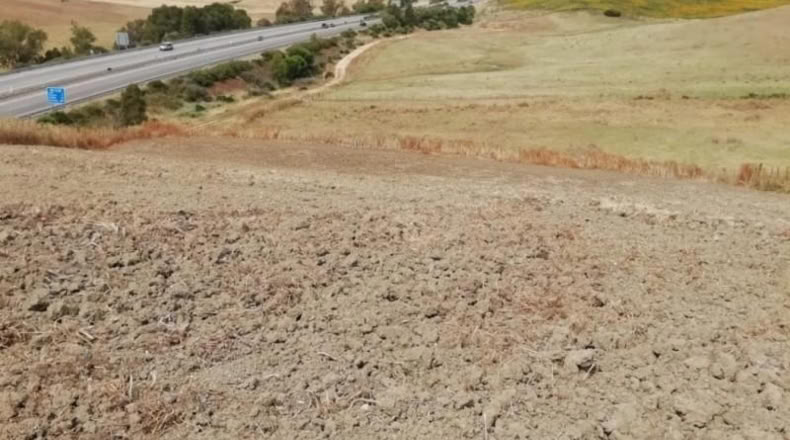 Sevilla - Paradas - 2000m2