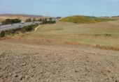 Land suitable for development for sale on España, Barbate, ref: TR395141 photo