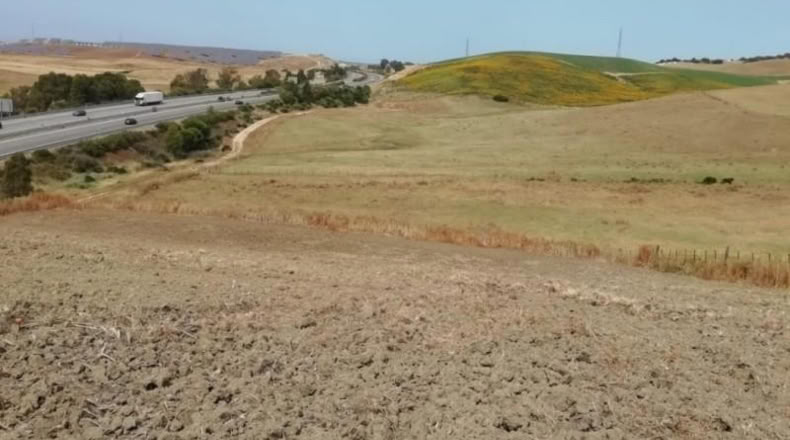 Sevilla - Paradas - 2000m2