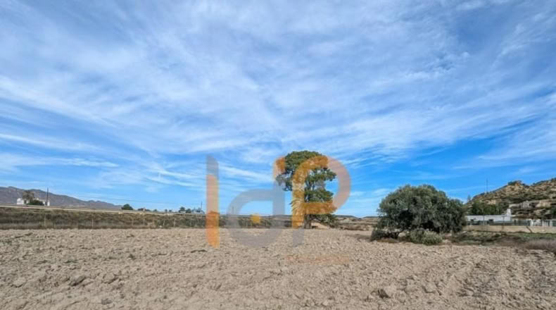 Almeria - Cuevas del Almanzora - 3387m2