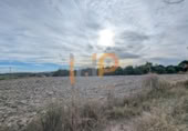 Terreno no urbanizable en venta en la España, Cuevas del Almanzora, ref: TR394746 foto