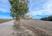 Terreno no urbanizable en venta en la España, Cuevas del Almanzora, ref: TR394746 foto