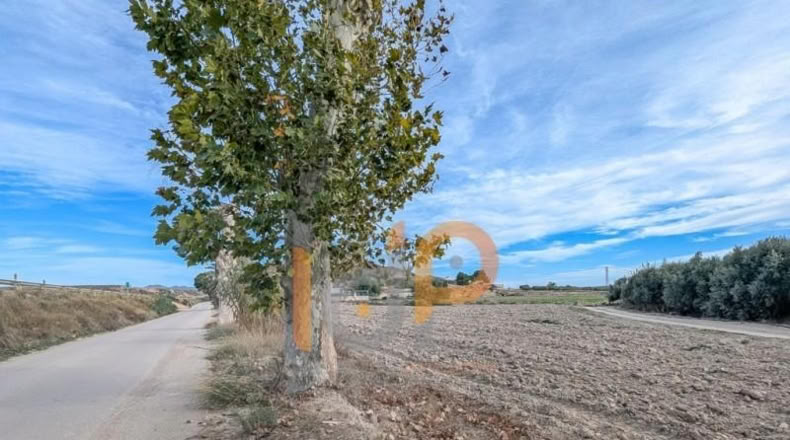 Almeria - Cuevas del Almanzora - 3387m2