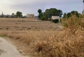 Cieza 5400&nbsp;m² 