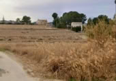 Terreny no urbanitzable en venda a la España, Cieza, ref.: TR395131 foto