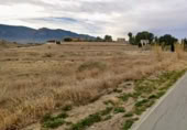 Terreny no urbanitzable en venda a la España, Cieza, ref.: TR395131 foto