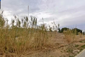 Cieza 5400&nbsp;m² 