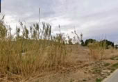 Terreny no urbanitzable en venda a la España, Cieza, ref.: TR395131 foto