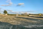 Non-developable land for sale on España, Aspe, ref: TR394760 photo