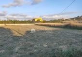Non-developable land for sale on España, Aspe, ref: TR394760 photo