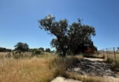 Chalet independiente con terreno en venta en la España, Esparragalejo, ref: TR399227 foto