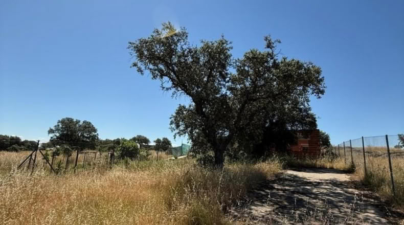 Badajoz - Esparragalejo - 2039m2