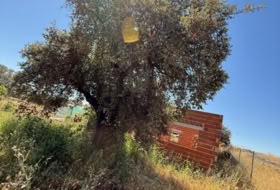 Foto 6