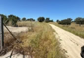 Chalet independiente con terreno en venta en la España, Esparragalejo, ref: TR399227 foto