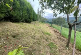 Oviedo 2269&nbsp;m²