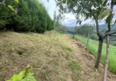 Casa con terreno en venta en la España, Oviedo, ref: TR398091 foto