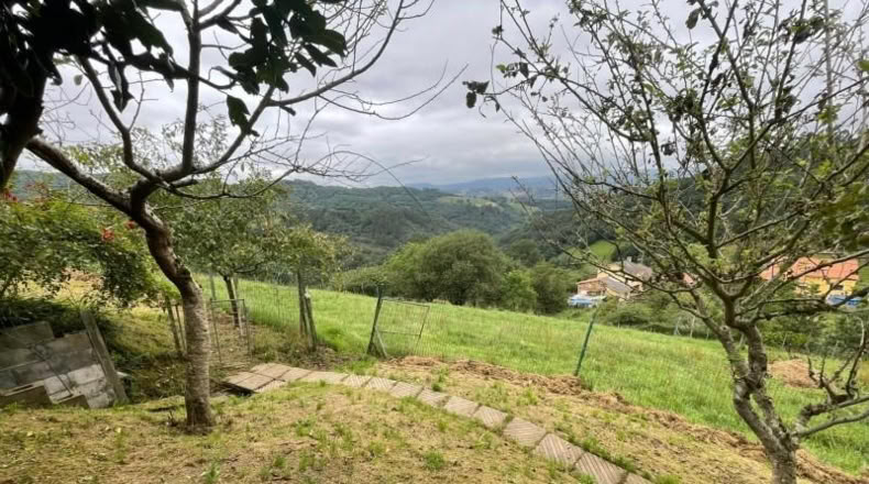 Asturias - Oviedo - 2269m2