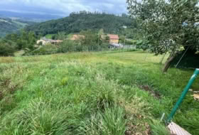 Oviedo 2269&nbsp;m²