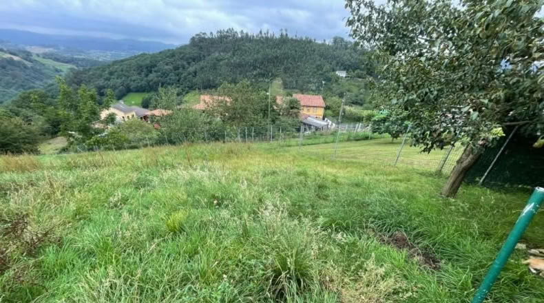 Asturias - Oviedo - 2269m2