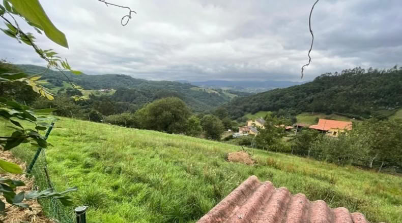 Asturias - Oviedo - 2269m2