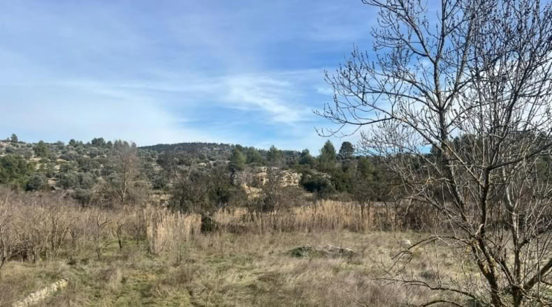 Teruel - La Fresneda - 7391m2