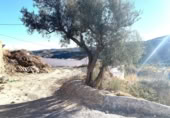 Casa de campo con terreno en venta en la España, Oria, ref: TR399763 foto