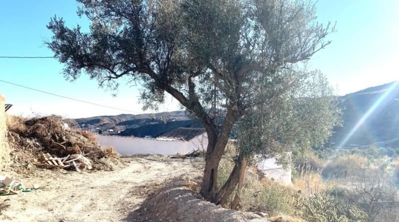 Almeria - Oria - 400m2