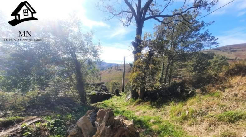 Cantàbria - Vega de Pas - 5914m2
